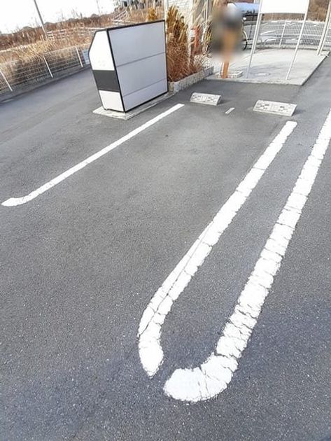 Naikan11 20240112000000 945x630
