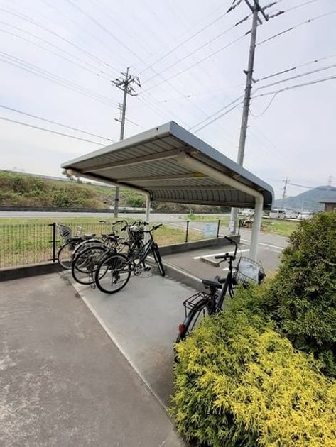 Naikan11 20240515000000 945x630