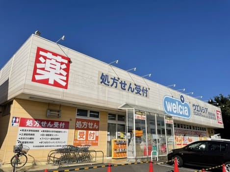 Naikan15 20241202000000