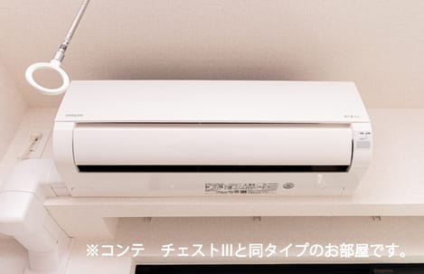Naikan11 20260619000000