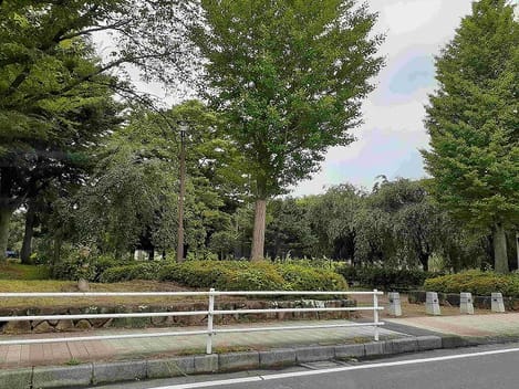 Naikan18 20240410000000