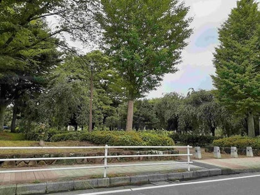 Naikan18 20240410000000 945x630