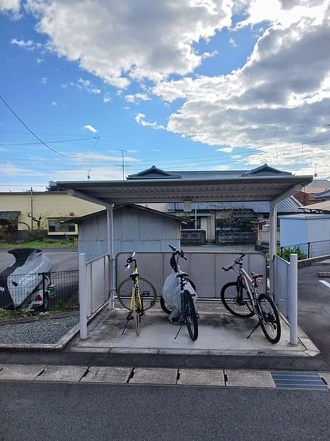 Naikan11 20241022000000