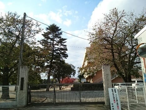 Naikan17 20260403000000