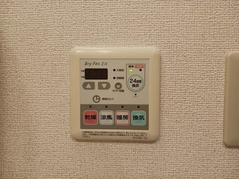 Naikan11 20241119000000