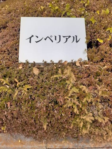 Naikan1 20231205000000 945x630