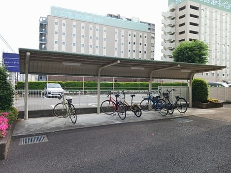 Naikan10 20250522000000