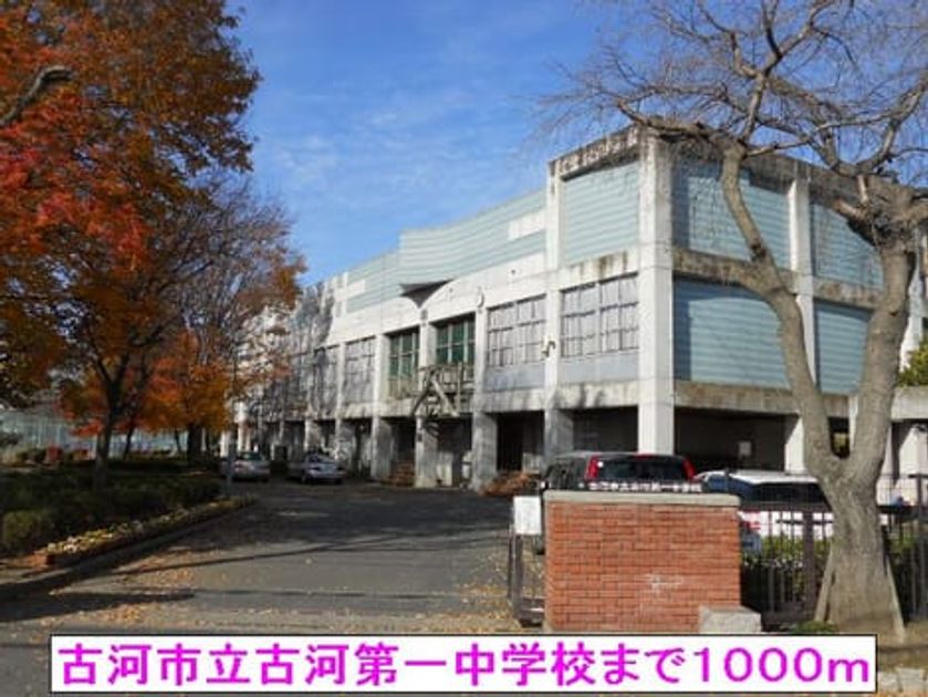 Naikan17 20140309000000 945x630