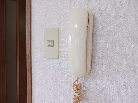 Naikan10 20250603000000
