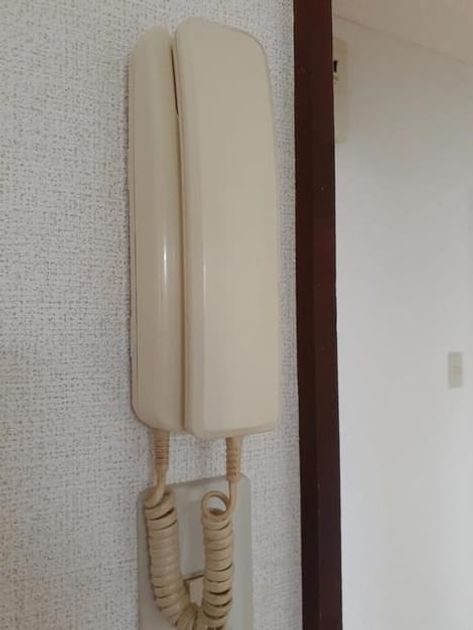 Naikan9 20210615000000 945x630