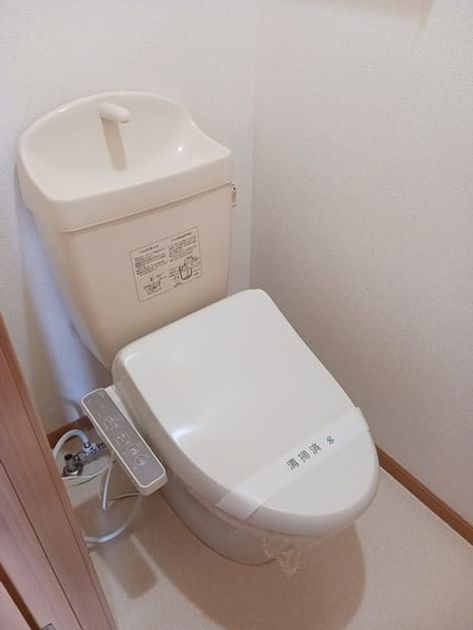 Naikan8 20240703000000 945x630