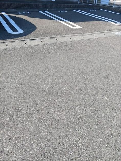Naikan11 20250310000000 945x630