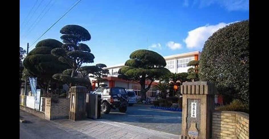 Naikan14 20250404000000 945x630