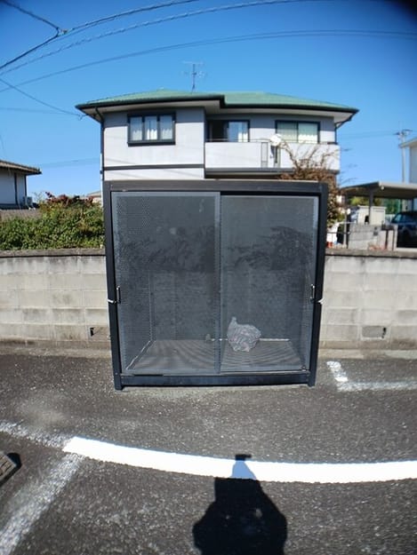 Naikan9 20251106000000