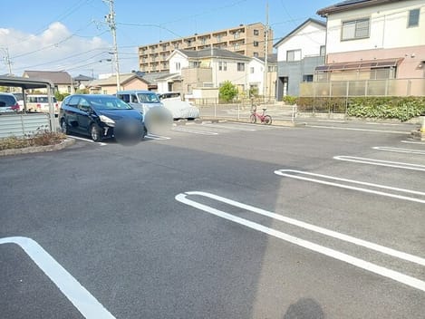 Naikan11 20251121000000
