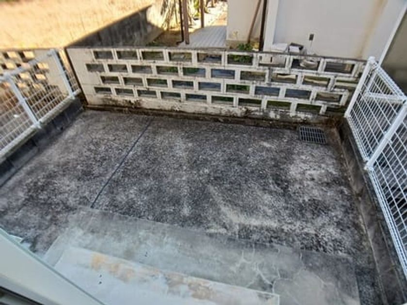 Naikan8 20251219000000 945x630