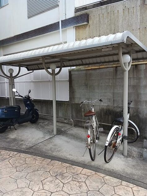 Naikan11 20260224000000 945x630