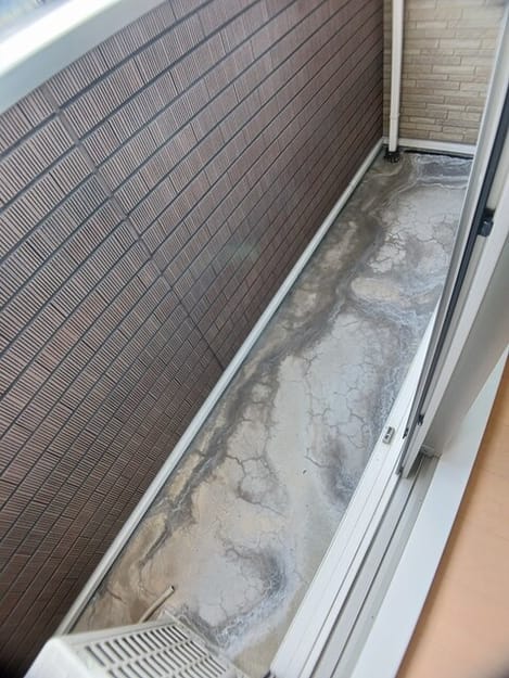 Naikan10 20260203000000