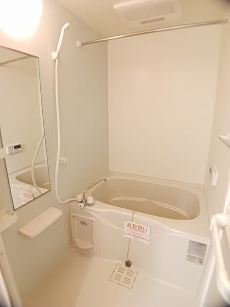 Naikan3 20260203000000