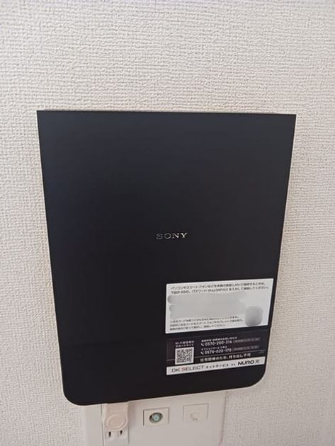 Naikan11 20260122000000 945x630