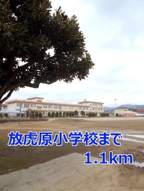 Naikan13 20140223000000