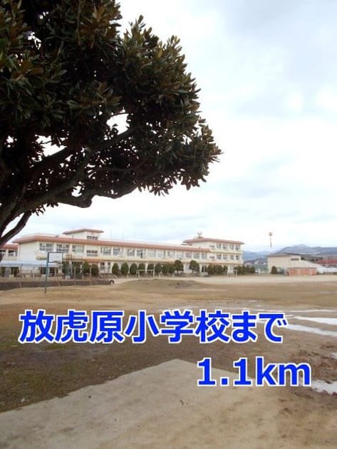 Naikan13 20140223000000 945x630