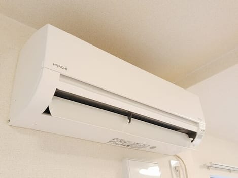 Naikan8 20260129000000