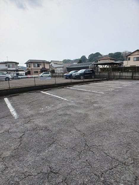 Naikan10 20260217000000