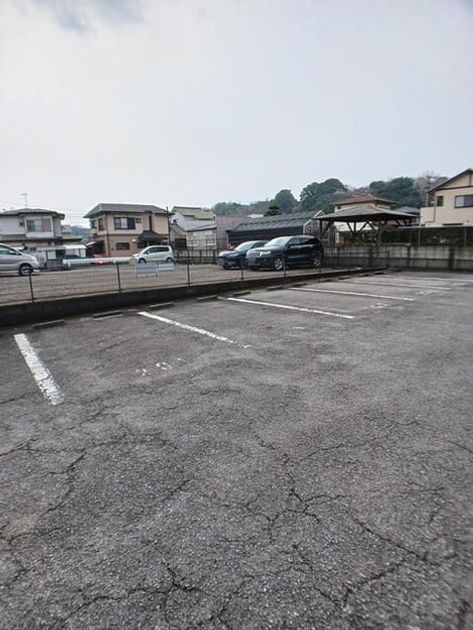 Naikan10 20260217000000 945x630