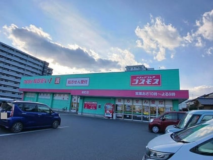 Naikan14 20260106000000 945x630