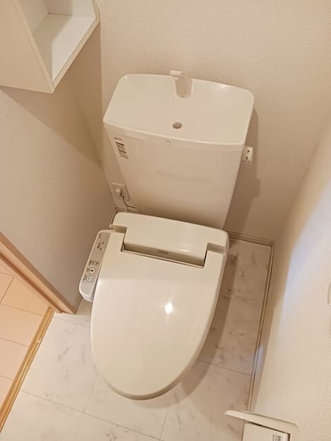 Naikan8 20260224000000