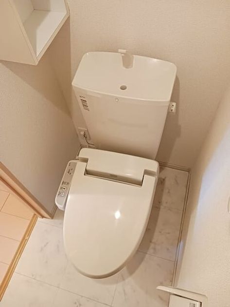 Naikan8 20260224000000 945x630