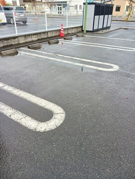Naikan11 20251110000000 945x630