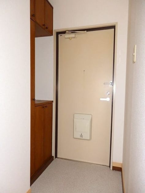 Naikan11 20201023000000 945x630