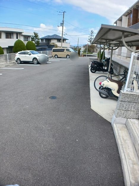 Naikan11 20250312000000