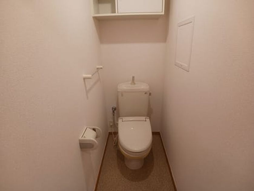 Naikan8 20260225000000 945x630
