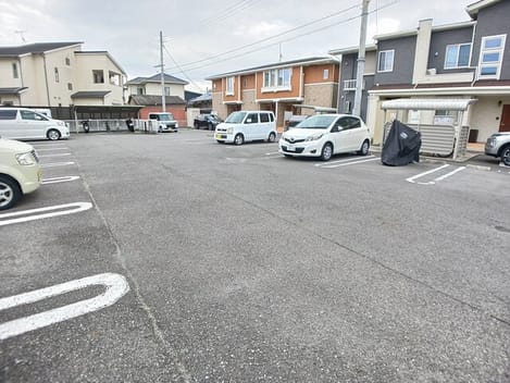 Naikan11 20260113000000
