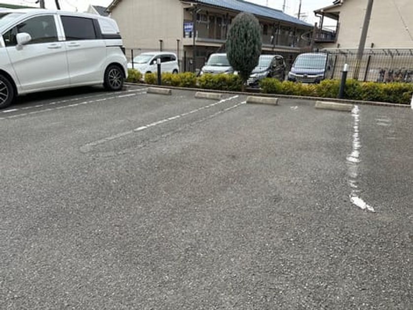 Naikan12 20260302000000 945x630