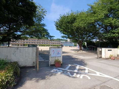 Naikan17 20260803000000