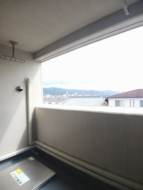 Naikan10 20260518000000