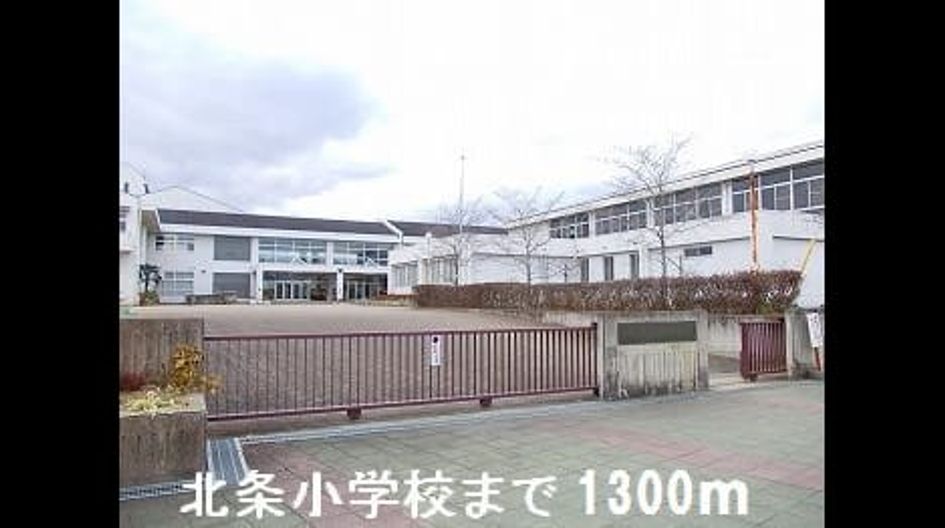 Naikan17 20200304000000 945x630
