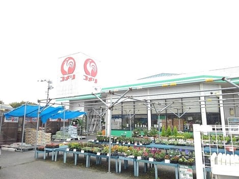 Naikan18 20260204000000