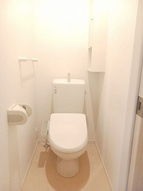 Naikan8 20260225000000 945x630