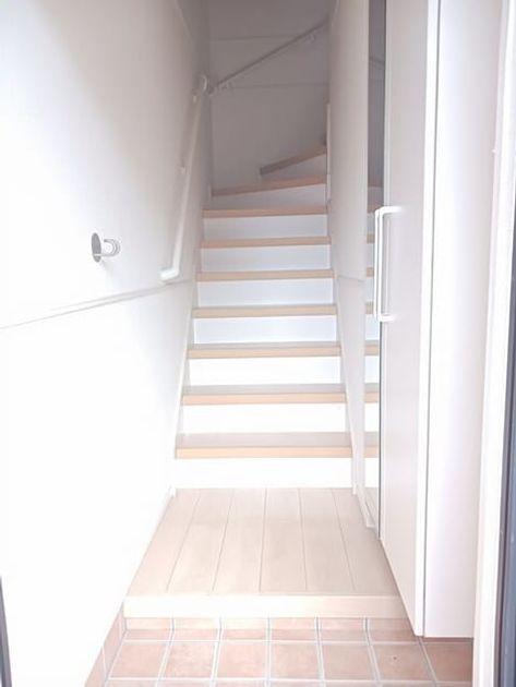 Naikan9 20260225000000 945x630
