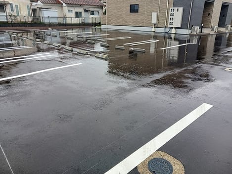 Naikan9 20260623000000