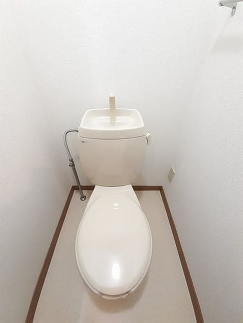 Naikan8 20240205000000 945x630