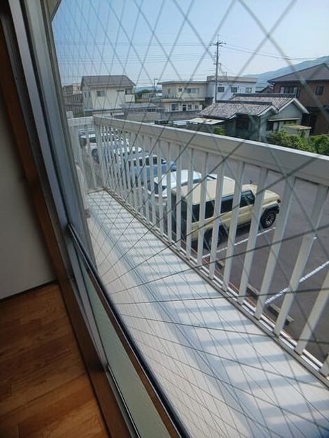 Naikan12 20260629000000 945x630