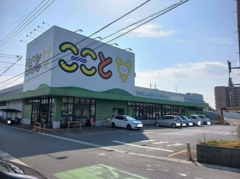 Naikan16 20260206000000 945x630