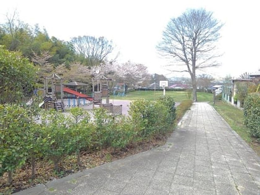 Naikan14 20200803000000 945x630