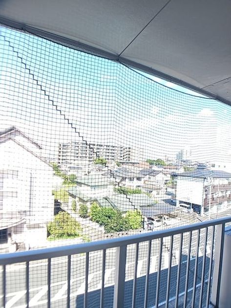 Naikan11 20260731000000 945x630
